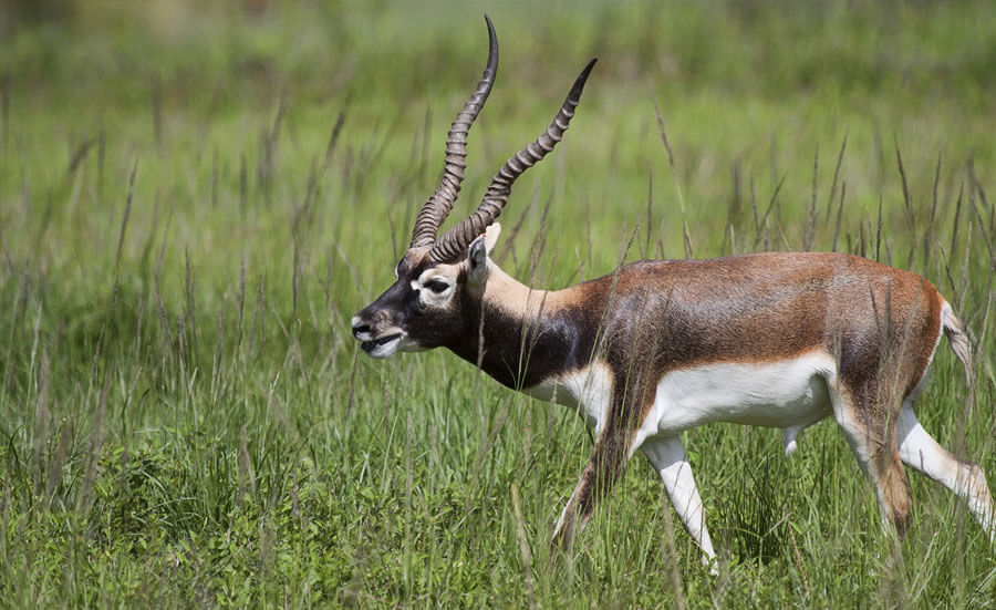 Kanger Valley National Park